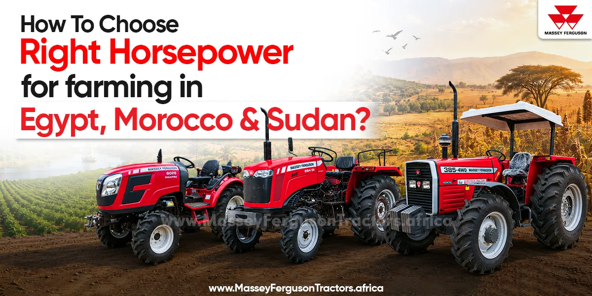 How to Choose the Tractor for Farming in Egypt, Morocco & Sudan - Massey Ferguson Tractors Africa